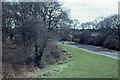 Part of Oakdene Woods and Tichborne Way