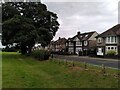 The Park Paling looking on to Whitley Common