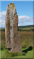 NR9132 : One of the standing stones, Machrie Moor 2 Stone Circle, Arran by habiloid
