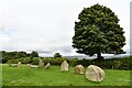 NY5737 : Little Salkeld: Long Meg and her Daughters (set of 10 images) by Michael Garlick
