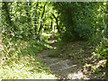 Path down Castle Hill, Totternhoe