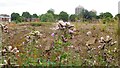 Derelict land off Rochdale Road