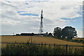 Mast, Climbing tree Farm