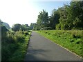 Path by Upper Lake