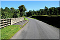 Bridge along Letfern Road