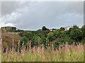 The Invergordon Oil Tank Farm