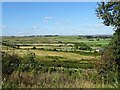 View to Honey Hill from the Waskerley Way