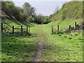 Breadsall Railway Cutting