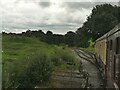 Embsay Diesel Gala (7)