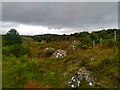 Rough Moorland