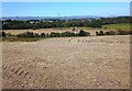 Haymaking in September