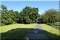 Cycle path beside the A1035 roundabout