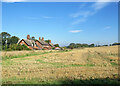 Littlebury: stubble and farm cottages