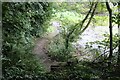 Looking down the Coast Path by Castle Pill