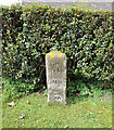 Old Milestone by Hardgates Road, south of Haile