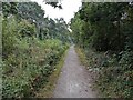 Cyclepath by the former Shrewsbury canal