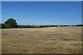 Fields north of the lane to Catwick