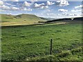 Field, Pennymuir