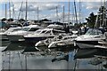 Moored boats at Emsworth Yacht Harbour