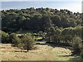 SO7536 : Raggedstone Hill (Viewed near Midsummer Hill) by Fabian Musto