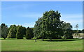 Grounds of Aberdeen Crematorium