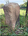 Old Milestone by the B6342, near Cambo