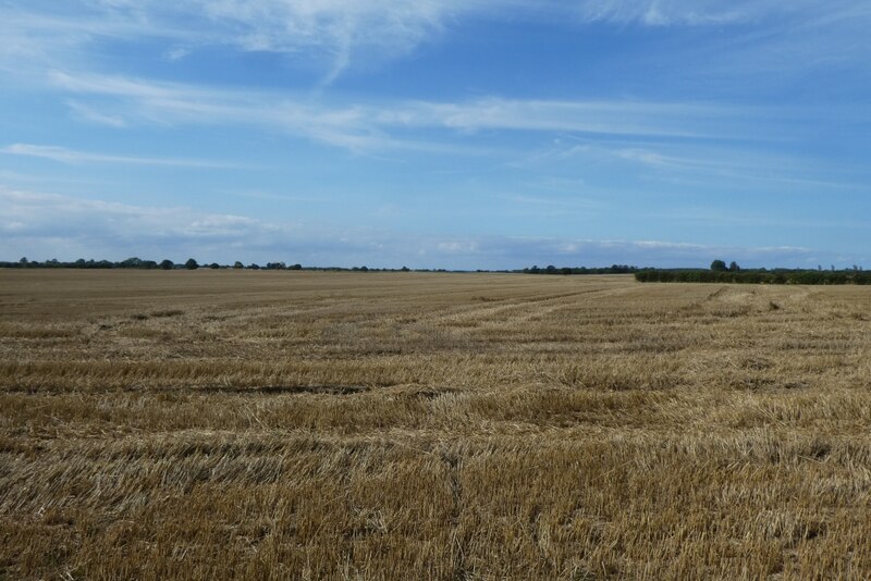 Fields south of New Ellerby © DS Pugh :: Geograph Britain and Ireland