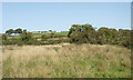 Looking towards Stravenhouse Farm