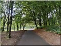 Path in the Telford Town Park