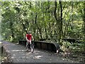 Cyclist on track 883