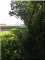 Dry Ditch Near Rowheath Farm