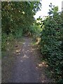 Little Clacton Bridleway 19