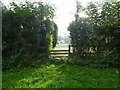 Path off Turnham Green