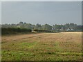 Fields between Edge Hill Drive and Pattingham Road