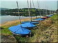 SK2790 : Sailing dinghies on the bank of Damflask Reservoir by Graham Hogg