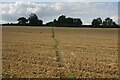 Footpath towards Handley