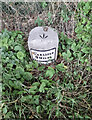 Old Milestone by the A595 at Jenkin Cross