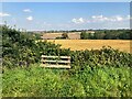 Small Bench, Crops and Woodland