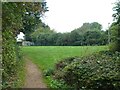 Grassy area by Upper Lake