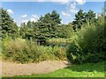 Pond in Sherwood Park