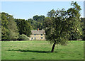 A Leaning Apple Tree, Steeple Barton