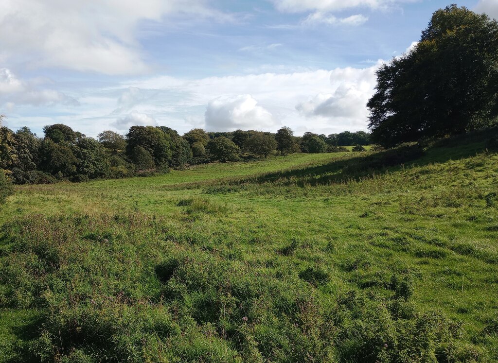 scrubby-grass-field-jim-smillie-geograph-britain-and-ireland