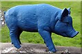 SH4938 : Blue Pig by Gerald England