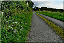 H5572 : Gap Road, Mullaghslin by Kenneth  Allen