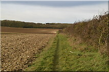 TL5949 : Field edge footpath by N Chadwick