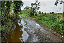 H5572 : Water lying along Roeglen Road by Kenneth  Allen