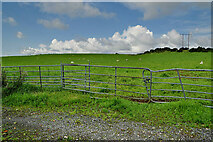 H5672 : Gates used as fencing along Shinnagh Road by Kenneth  Allen