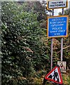 Welsh / English name sign, Tretower, Powys