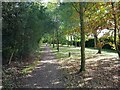 Footpath on the edge of Witchford, Cambridgeshire