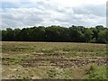 Field towards Dallacre Farm